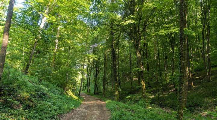 Autour de Gorze
