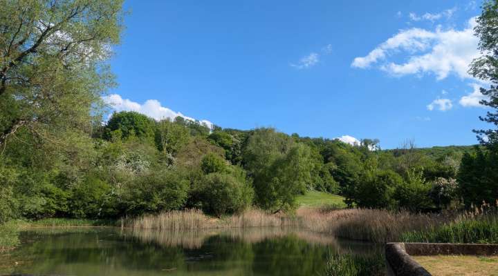 Autour de Gorze