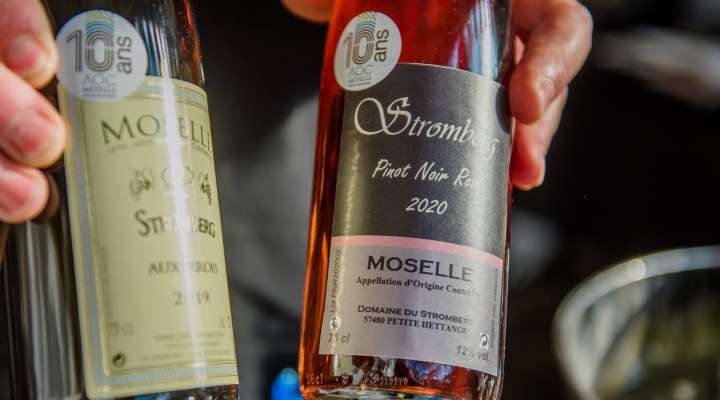 Domaine du Stromberg