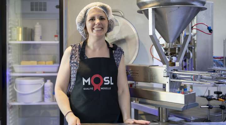 Hirondelle au naturel