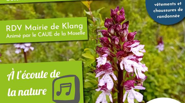 Balade Nature - Animation Natura 2000