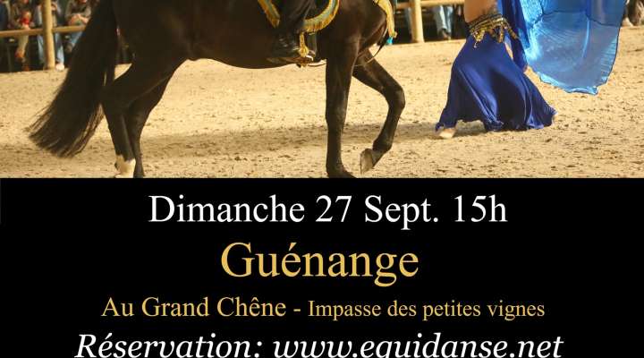 Spectacle EquiDanse