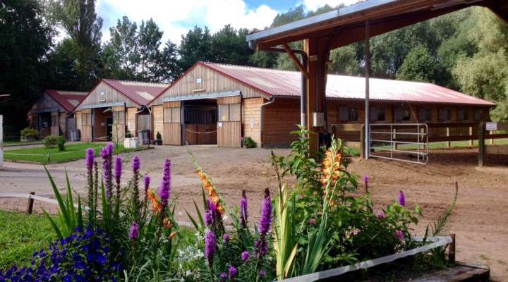 École d'équitation de Saint-Avold