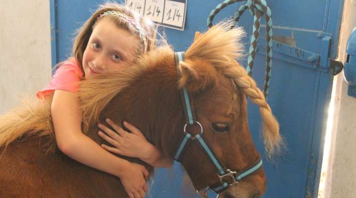 École d'équitation de Saint-Avold
