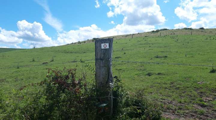 Circuits du Club vosgien section de Saint-Avold