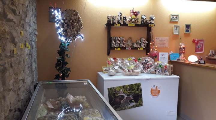 L'escargot dans la prairie