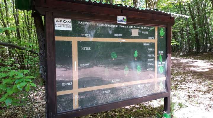 Parcours pédagogique de l'Apon