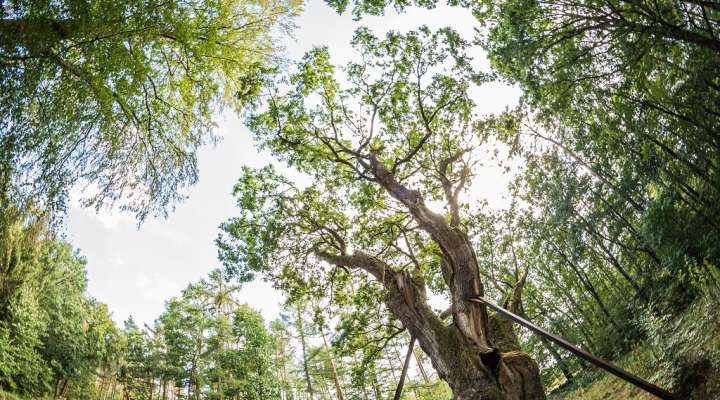 Parcours pédagogique de l'Apon