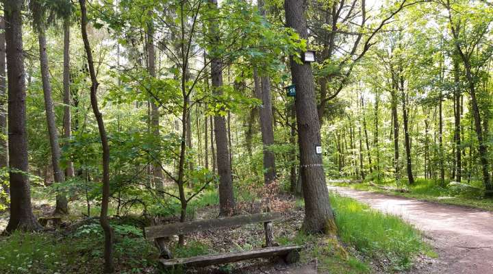Parcours pédagogique de l'Apon
