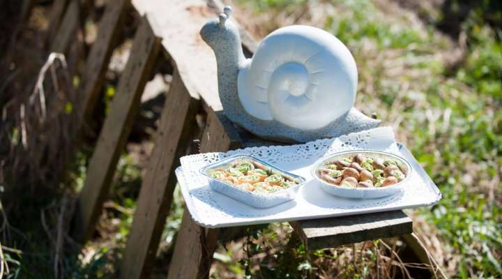 La coquille gourmande escargots et miel