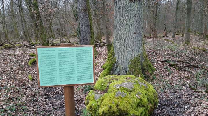 Pierre tournante dicke udel