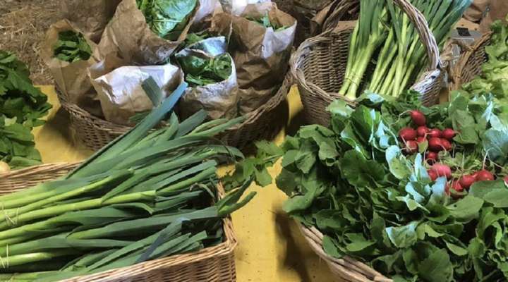 Ferme à Vatimont on sème