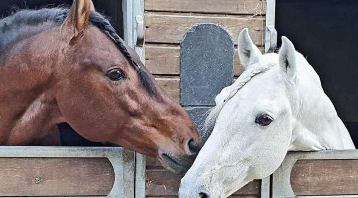 Les écuries du moulin à poudre