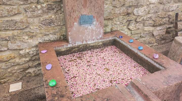 Stolpersteine à Niedervisse