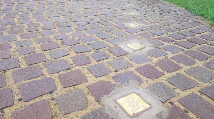 Stolpersteine à Niedervisse