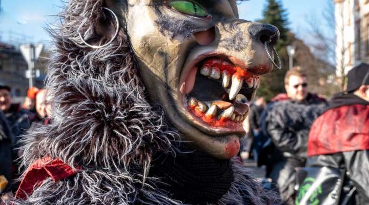 Cavalcade Internationale