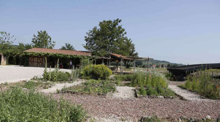 Jardin gallo-romain