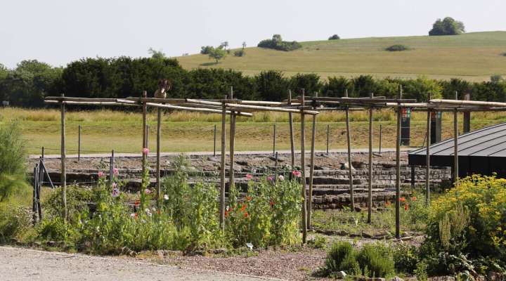 Jardin gallo-romain