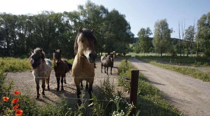 Circuit sur les traces des romains