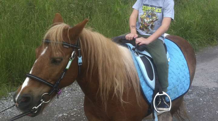 Balade à poneys - Élevage Del Navajo