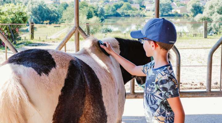 Balade à poneys - Élevage Del Navajo