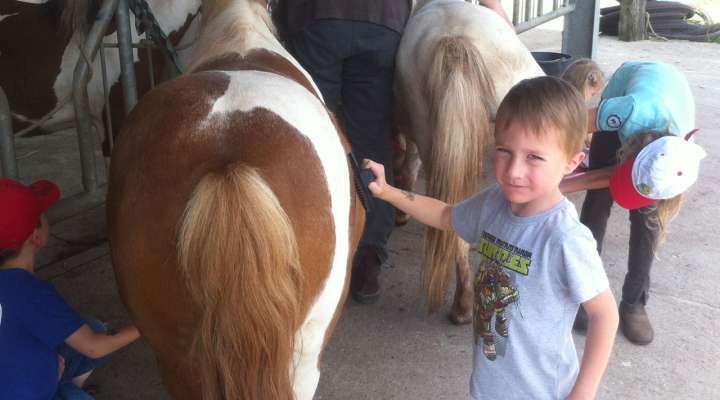 Balade à poneys - Élevage Del Navajo