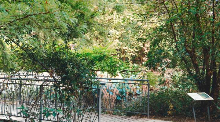 Journées du Patrimoine - Visite du Jardin des Faïenciers