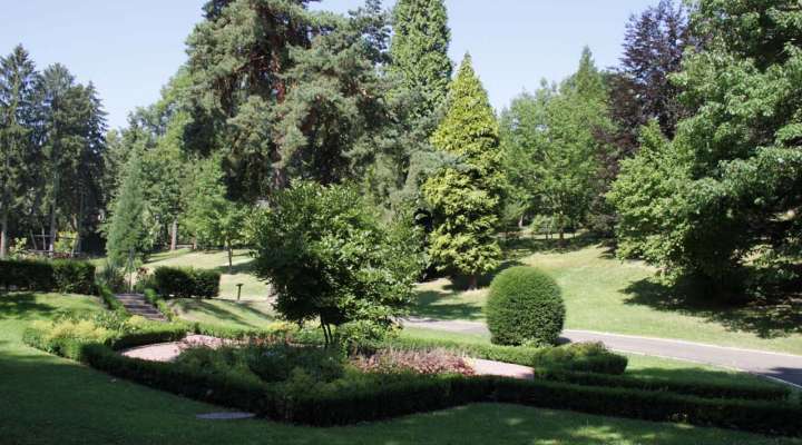 Festival du Patrimoine Naturel - Découverte du parc municipal de Sarreguemines