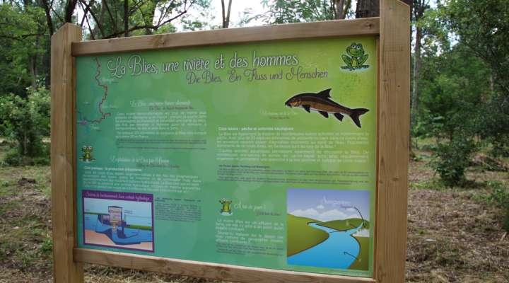Festival du Patrimoine Naturel - Découverte de l'écosystème aquatique de la Blies