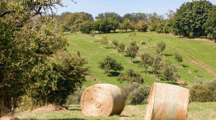 Les Rendez-vous Nature - Le Chemin des Fruitiers