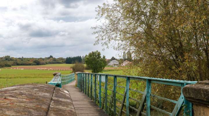 Les Rendez-vous Nature - Merveilles naturelles du marais