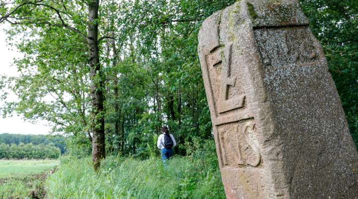Les Rendez-vous Nature - A la découverte du Langenberg