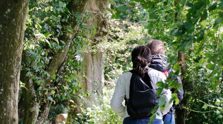 Les Rendez-vous Nature - A la découverte du Langenberg