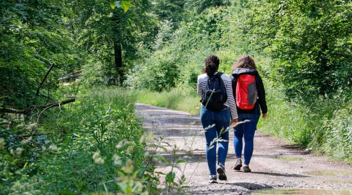 Les Rendez-vous Nature - Découverte de la forêt de Zetting