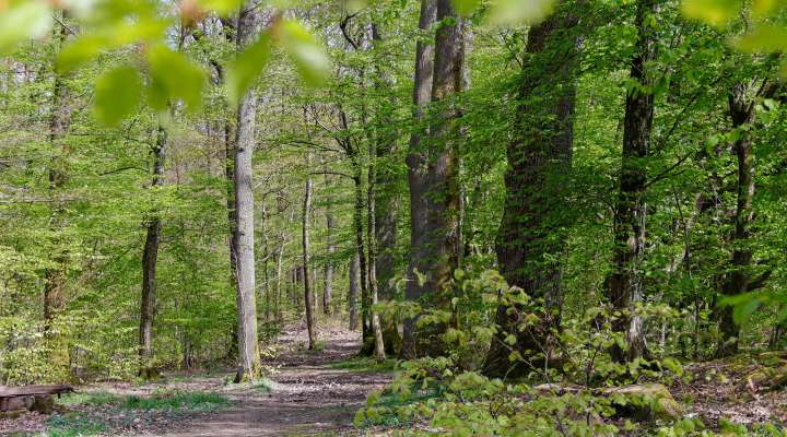 Les Rendez-vous Nature - Au fil des époques