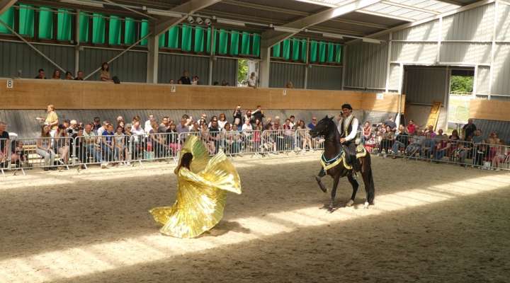 Spectacle EquiDanse
