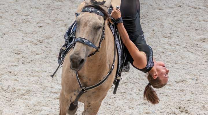 Spectacle EquiDanse