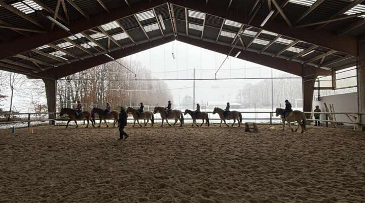 Kauffer Équitation