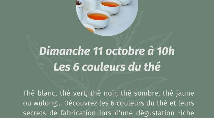 Atelier - Les 6 couleurs du thé