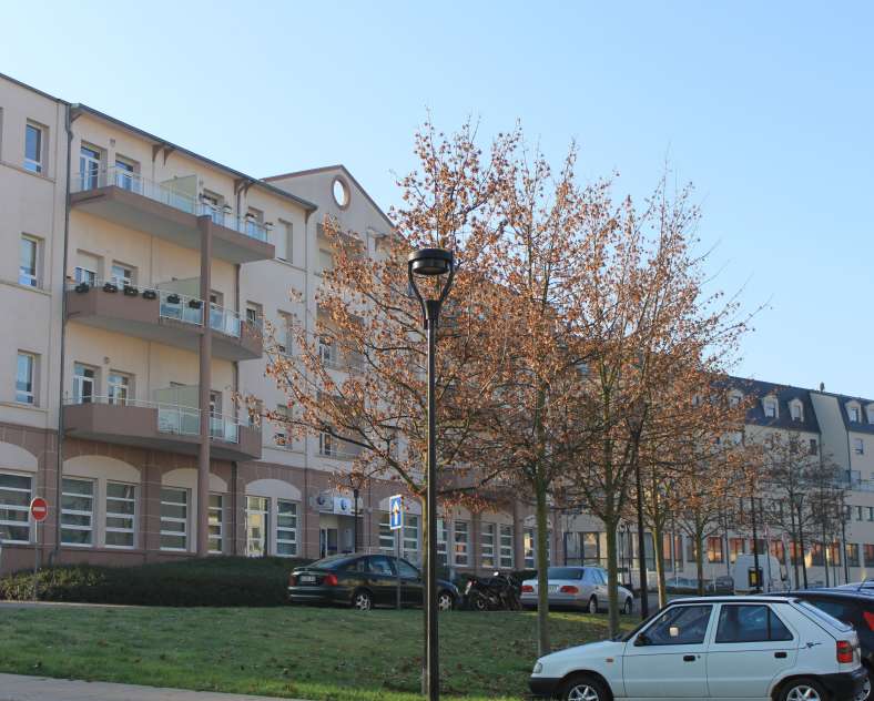 OT FORBACH  Ancienne cartonnerie Adt