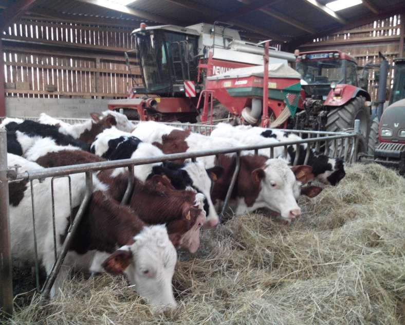 Colline des Pies Ferme Gaec la colline des pies