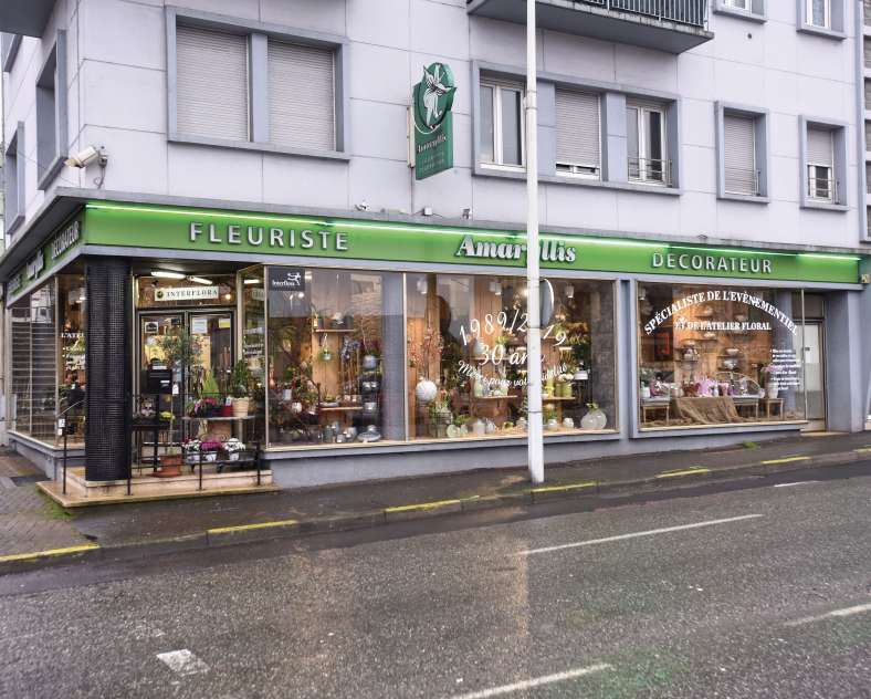 L'AMARYLLIS  Fleuriste l'Amaryllis