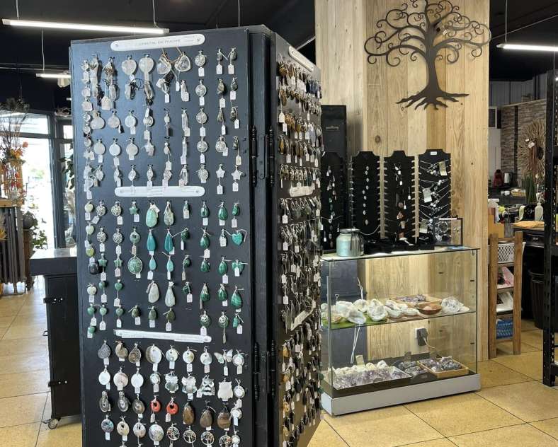 L'Amaryllis Fleuriste l'Amaryllis