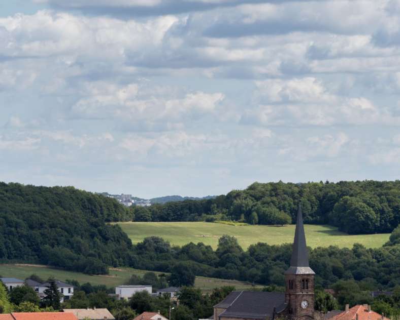 OT FORBACH  Plateau du Hunnenberg