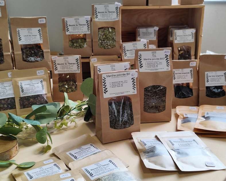 L'Atelier Ermosa by LSN L'Atelier Ermosa by LSN