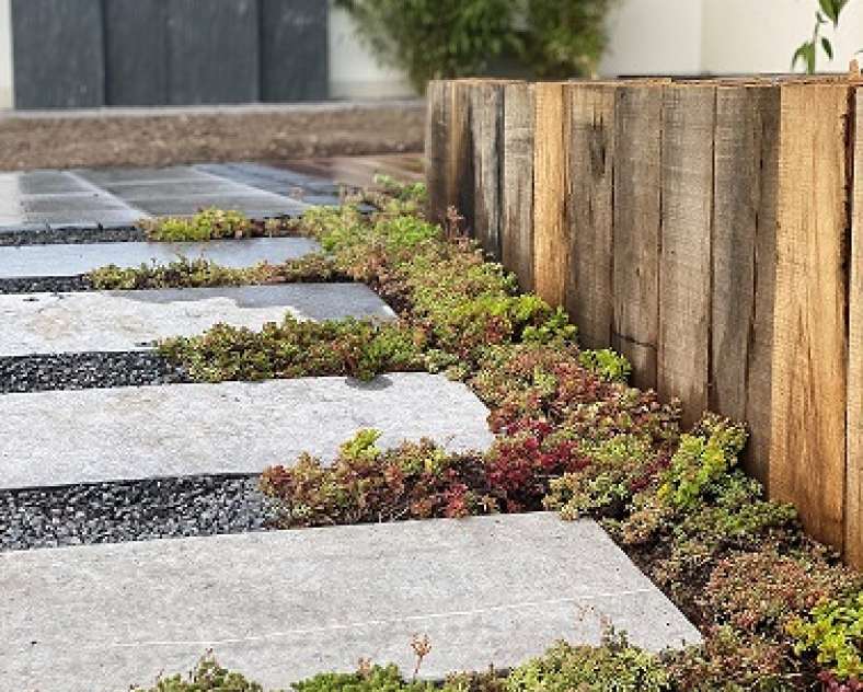 LA COULEUR DES JARDINS