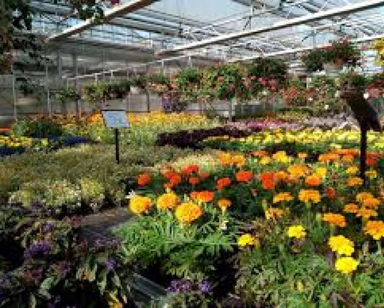 Horticulture Caspar Horticulture Caspar