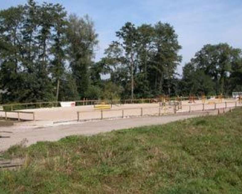 Francis Walesa Écuries de Marange