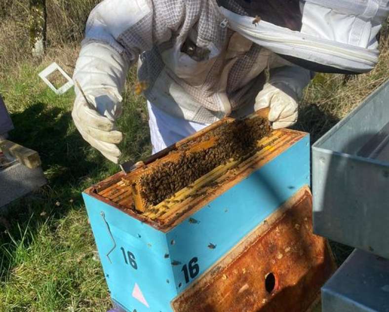 DR AU RUCHER D'AY  Au rucher d'Ay