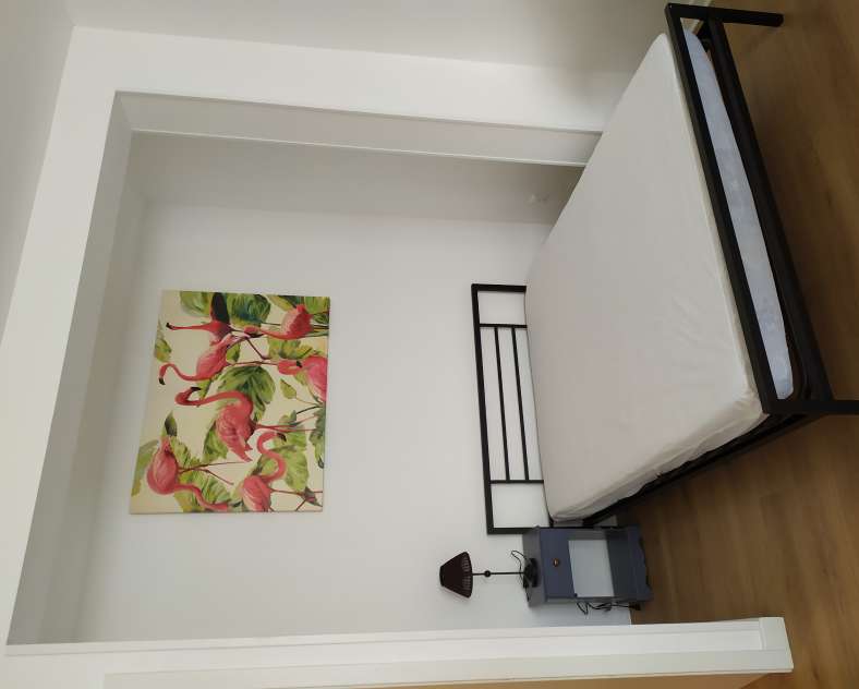 dr WIEMERT Studio Pivoine Wiemert